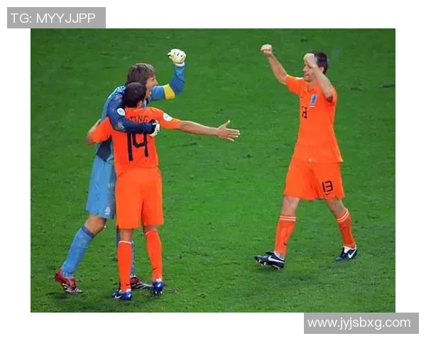 2006世界杯经典对决荷兰队与塞黑队的精彩较量回顾